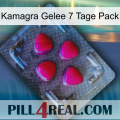 Kamagra Jelly 7 Day Pack 13